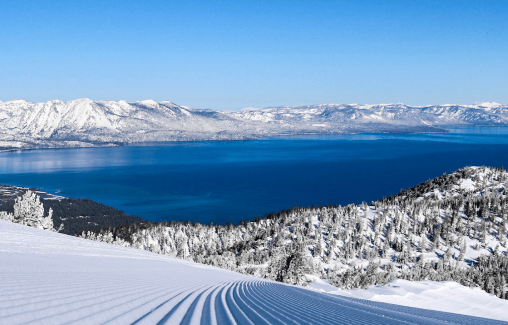 This image has an empty alt attribute; its file name is screen-shot-2023-02-08-at-10.43.27-am.png